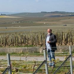 Greg in the vineyards. We had the best adventure and picnic!