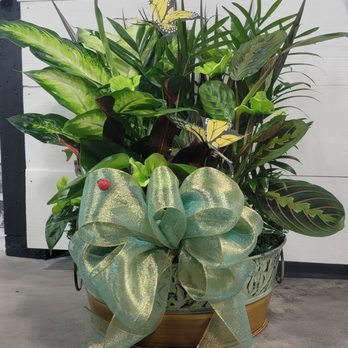 Petals and Vines - Floral Designers Near Me - Christopher, Illinois Petals and Vines - Floral Designers Near Me - Christopher, Illinois