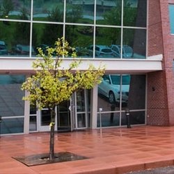 SSM Health Physical Therapy - Chesterfield - Boones Crossing