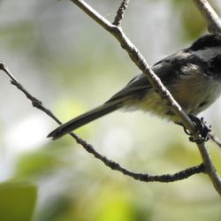 Kerry Wood Nature Centre
