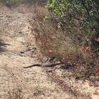 Iron Mountain - Rattlesnake crossed right in front of us - Hiking Near Me - Poway, California