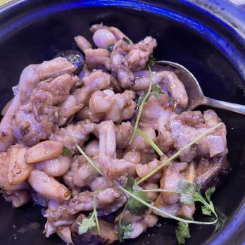 Dynasty - Garlic frog clay pot - Cantonese Near Me - Boston, Massachusetts Dynasty - Garlic frog clay pot - Cantonese Near Me - Boston, Massachusetts