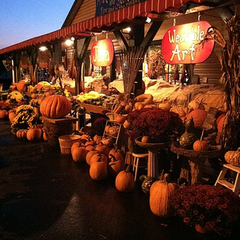 Fresh Pickins - a large display of pumpkins - Fruits & Veggies Near Me - Sandyston, New Jersey Fresh Pickins - a large display of pumpkins - Fruits & Veggies Near Me - Sandyston, New Jersey