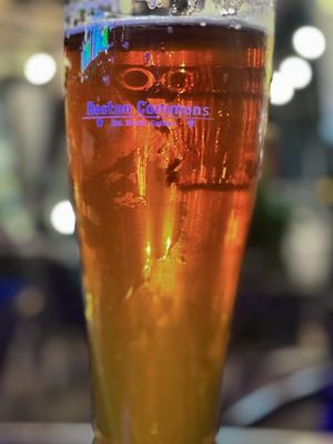 Boston Commons by null