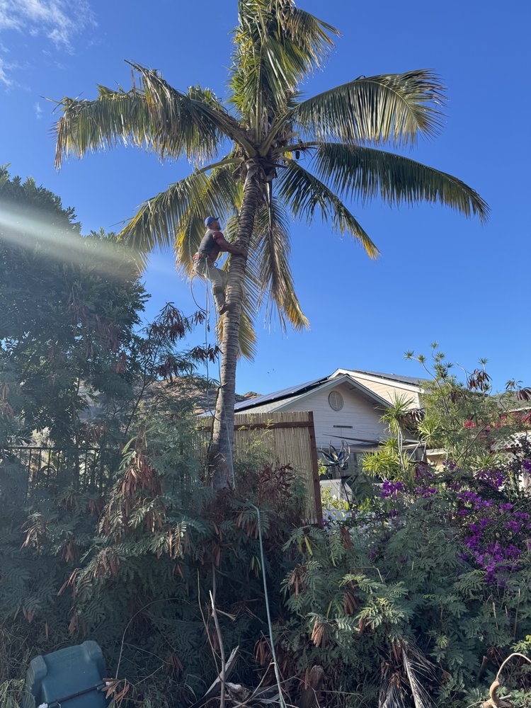S&F Landscaping & Tree Services - tree service in Waimānalo, HI