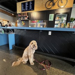 Bike Dog Brewing Co