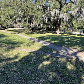 City Park - Moss tree - Parks Near Me - New Orleans, Louisiana City Park - Moss tree - Parks Near Me - New Orleans, Louisiana