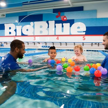 Big Blue Swim School - Swimming Lessons/Schools Near Me - Hoffman Estates, Illinois Big Blue Swim School - Swimming Lessons/Schools Near Me - Hoffman Estates, Illinois