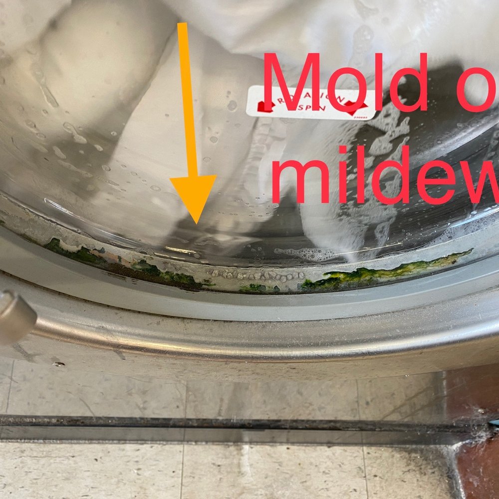 2nd Street Laundry - Mold or green monster inside the recess Of the front door - Laundry Services Near Me - Hermosa Beach, California