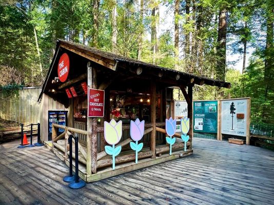 Capilano Suspension Bridge Park by null