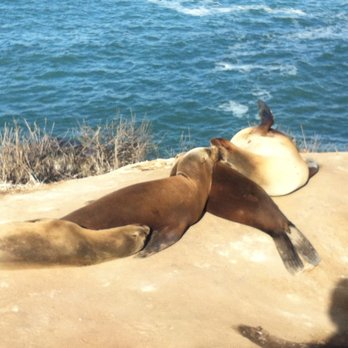 La Jolla - Beaches Near Me - San Diego, California La Jolla - Beaches Near Me - San Diego, California