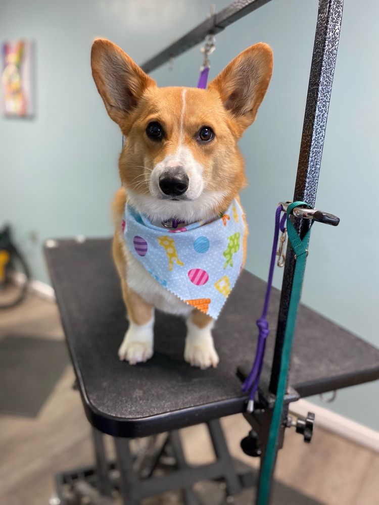 Photos of LIVE LAUGH BARK Updated August 2024 97 Photos & 23