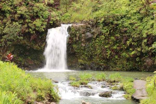 Pua'a Ka'a Falls by null