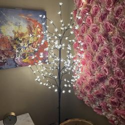 The One Acupuncture Aesthetics & Tea Bar - Crowded and cluttered corner of treatment room