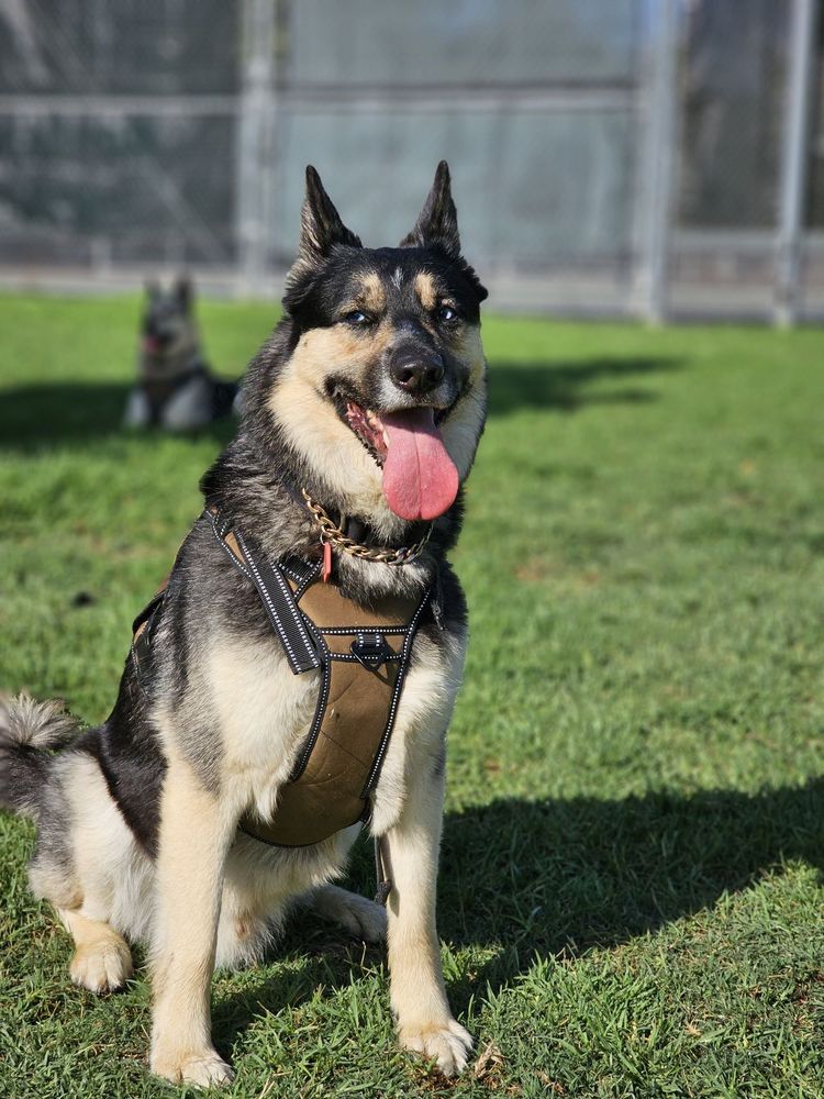 BELLIS PARK 62 Photos & 35 Reviews 7171 8th St, Buena Park