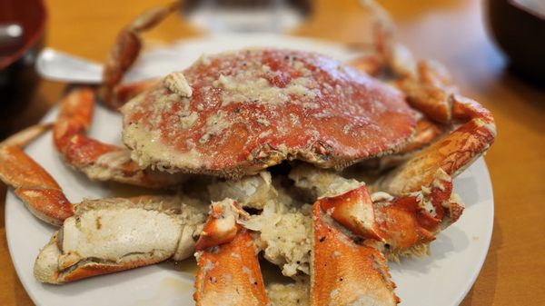 PPQ Dungeness Island - Millbrae by null