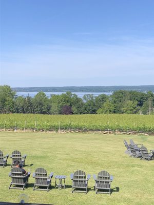 Buttonwood Grove Winery by null