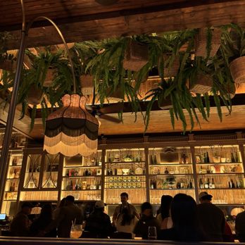 Dalia - Bar area - Tapas/Small Plates Near Me - Boston, Massachusetts Dalia - Bar area - Tapas/Small Plates Near Me - Boston, Massachusetts