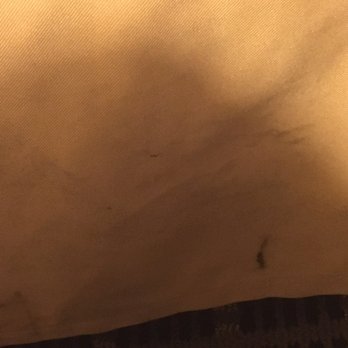 Holiday Inn Express & Suites Dickson - More stains on bedding - Hotels Near Me - Dickson, Tennessee Holiday Inn Express & Suites Dickson - More stains on bedding - Hotels Near Me - Dickson, Tennessee