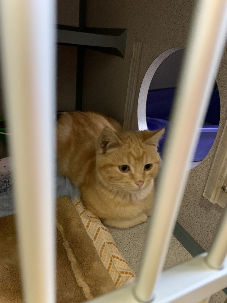 HUMANE SOCIETY OF MONTGOMERY COUNTY Updated August 2024 1183