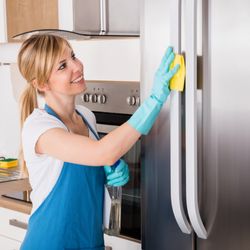 Two Peas Cleaning Company - We can get rid of those pesky fingers prints and marks with our Professional Stainless Steel Product.
