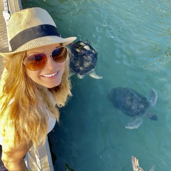 The Turtle Hospital - Veterinarians Near Me - Marathon, Florida The Turtle Hospital - Veterinarians Near Me - Marathon, Florida