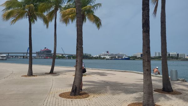 Bayfront Park by null