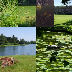 Park van Tervuren - Ponts and green stuff :-)