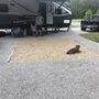 Photo of Frontier Town Campground, Equestrian & Day Use Area
