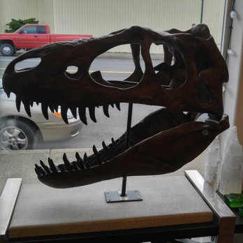 Prehistoric - Museums Near Me - Lincoln City, Oregon Prehistoric - Museums Near Me - Lincoln City, Oregon