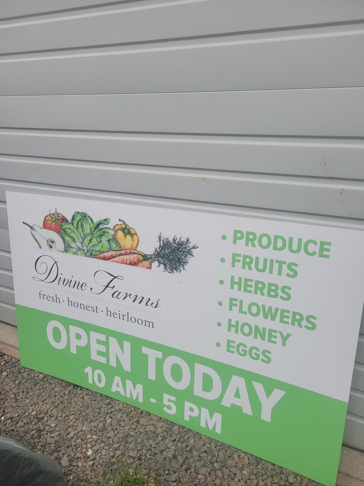 Divine Culinary Logo