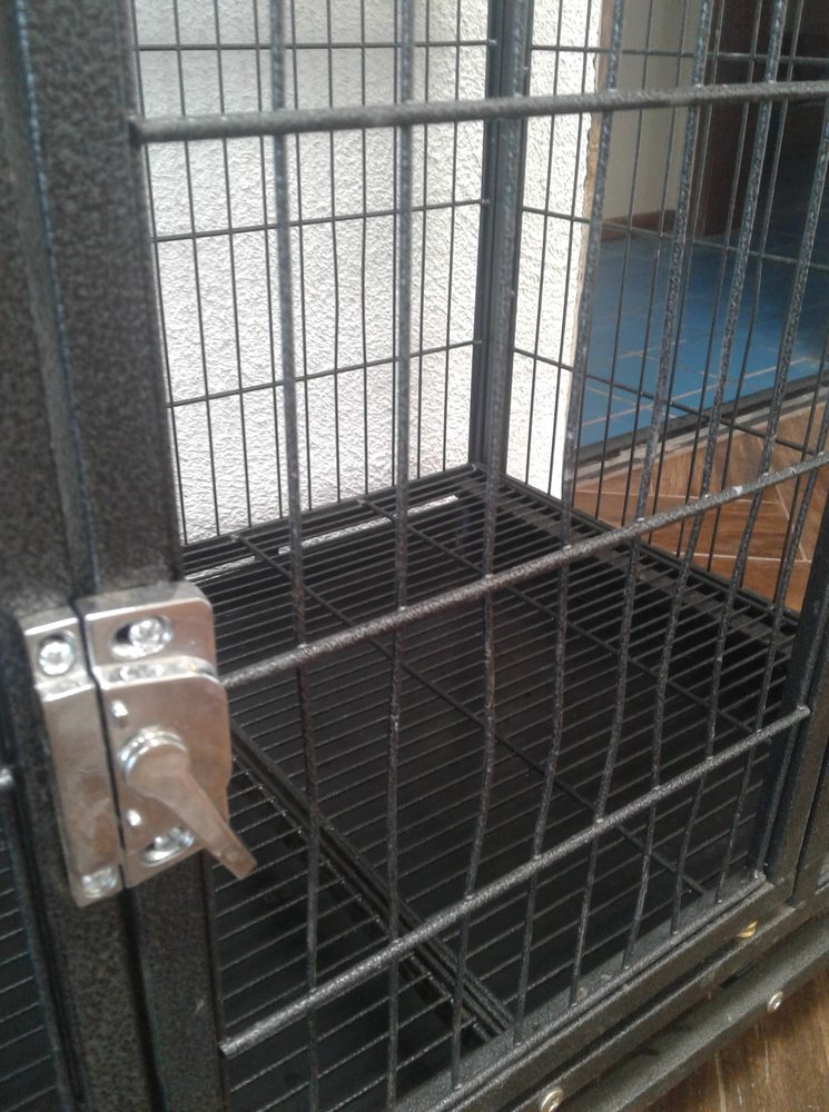 HOMEY PET STATION 34 Photos 5550 Brooks St, Montclair, California