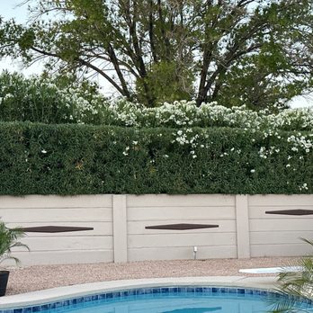 Diamond Tree Service - Look close....half cut trees - Tree Services Near Me