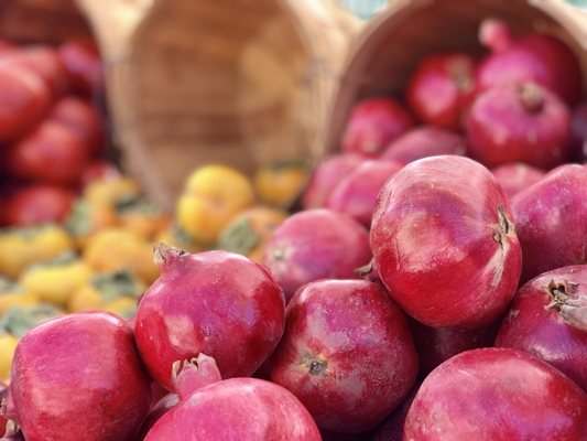 Montclair Village Farmers' Market by null