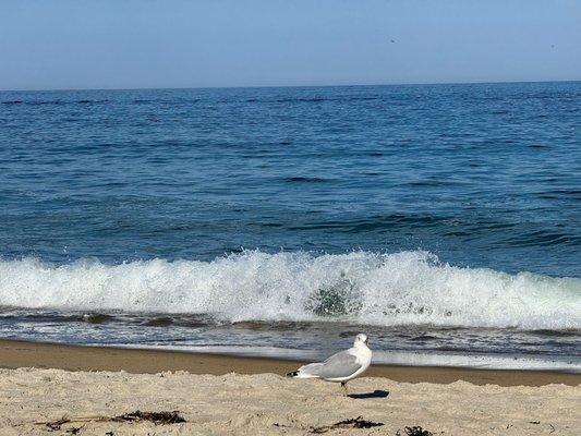 Salisbury Beach State Reservation by null