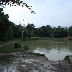 Thriftwood Scout Camp Site