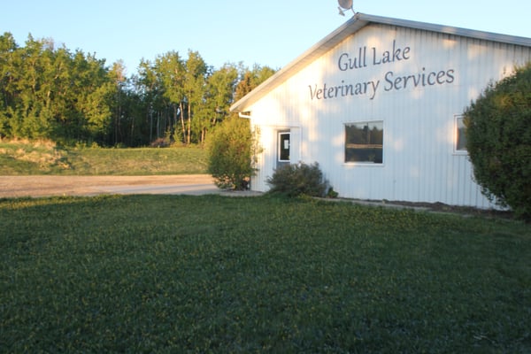 Gull Lake Veterinary Services 11 Photos Veterinarians Rr3