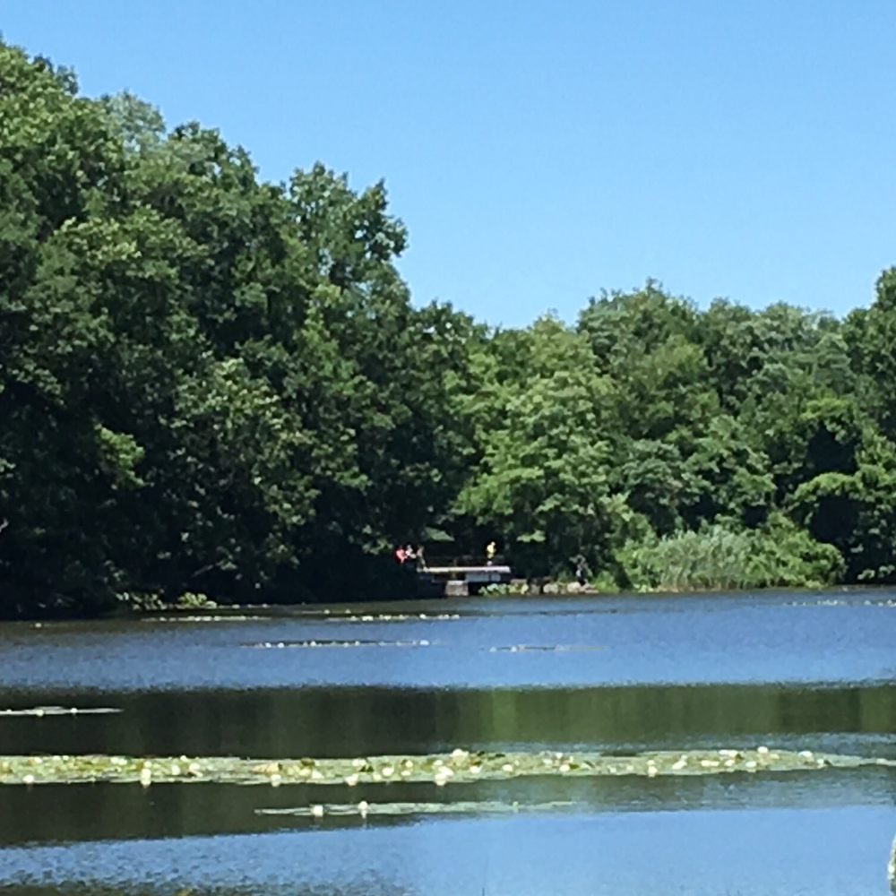 Van Cortlandt Park  - View of the lake - Parks Near Me - Bronx, New York