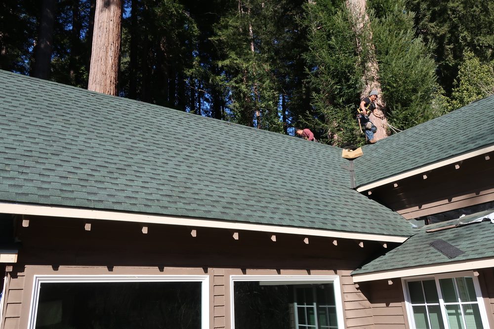 Slide of Palmer Roofing Service