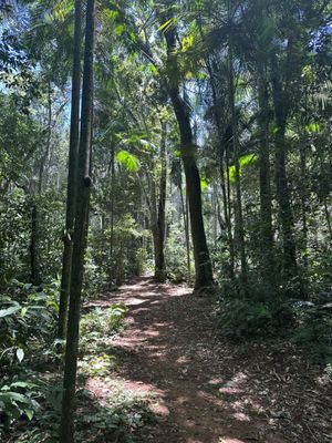 Parque das Aves by null