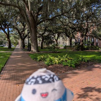 Oglethorpe Square - Pathway and trees. 9/7/2026 - Landmarks & Historical Buildings Near Me - Savannah, Georgia Oglethorpe Square - Pathway and trees. 9/7/2026 - Landmarks & Historical Buildings Near Me - Savannah, Georgia