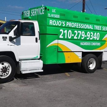 tree service san antonio tx