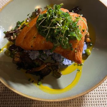 Fin - Faroe Island Salmon - Seafood Near Me - Dennis, Massachusetts