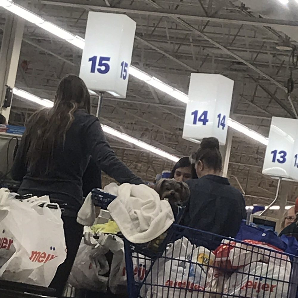 A dog in a shopping cart (which is against health code) trying to jump out of the cart at my dog