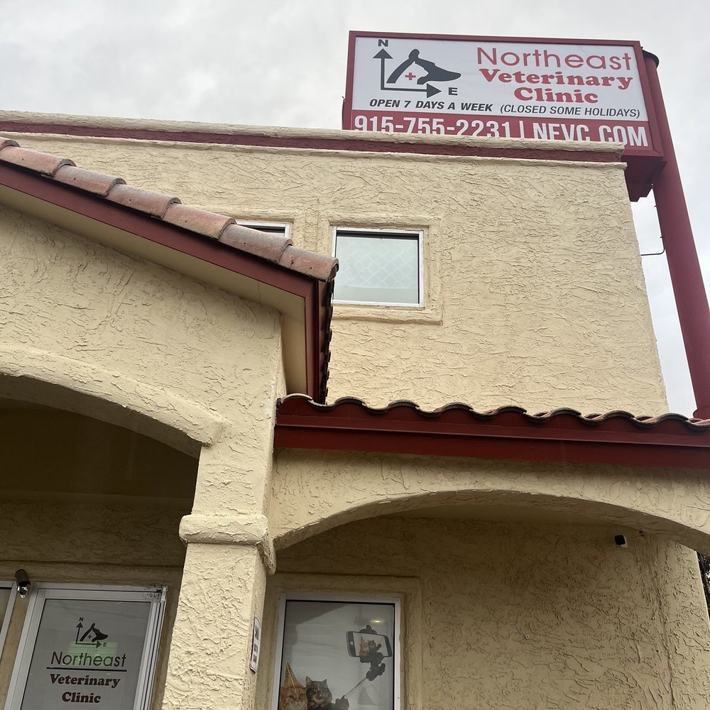 THE BEST 10 VETERINARIANS near OASIS DR, CHAPARRAL, NM 88081 - Updated 2026  - Hours - Yelp