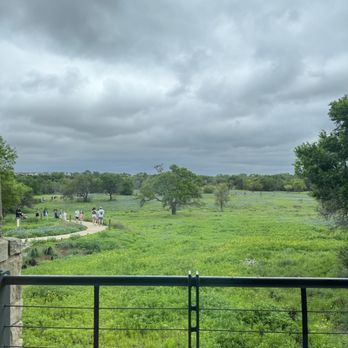 Lady Bird Johnson Wildflower Center - Botanical Gardens Near Me - Austin, Texas