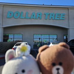 Dollar Tree - Storefront