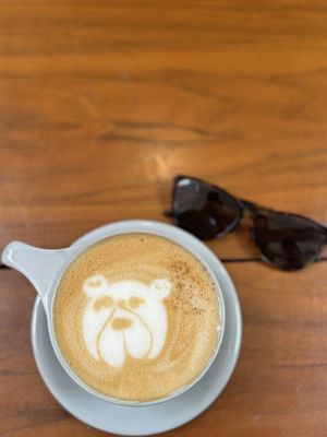 Theory Coffee Roasters by null