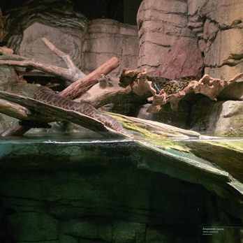 Biodôme de Montréal - Aquariums Near Me - Montreal, Quebec Biodôme de Montréal - Aquariums Near Me - Montreal, Quebec