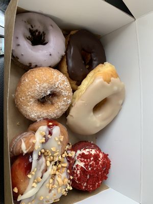 Varsity Donuts by null